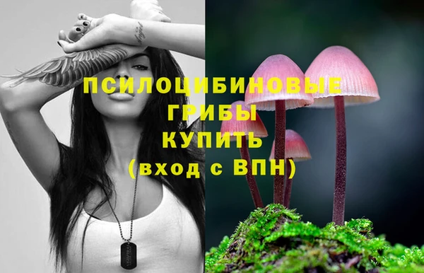соль ск Балабаново