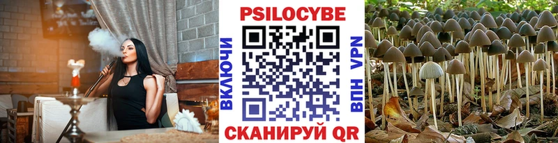 Псилоцибиновые грибы MAGIC MUSHROOMS  где купить   Обь 